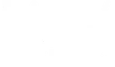 Fase 4 Seguros